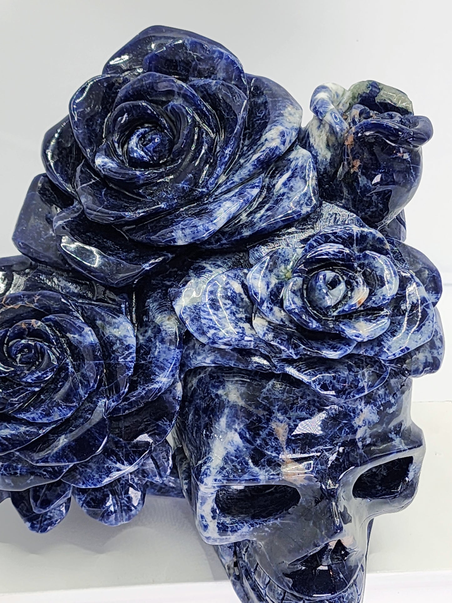 Sodalite Skull with Roses and Free Shipping!