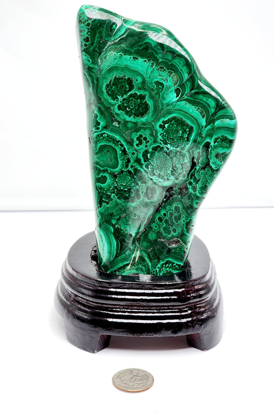 Malachite Free Form on Custom Base 8"Tall Free Shipping!