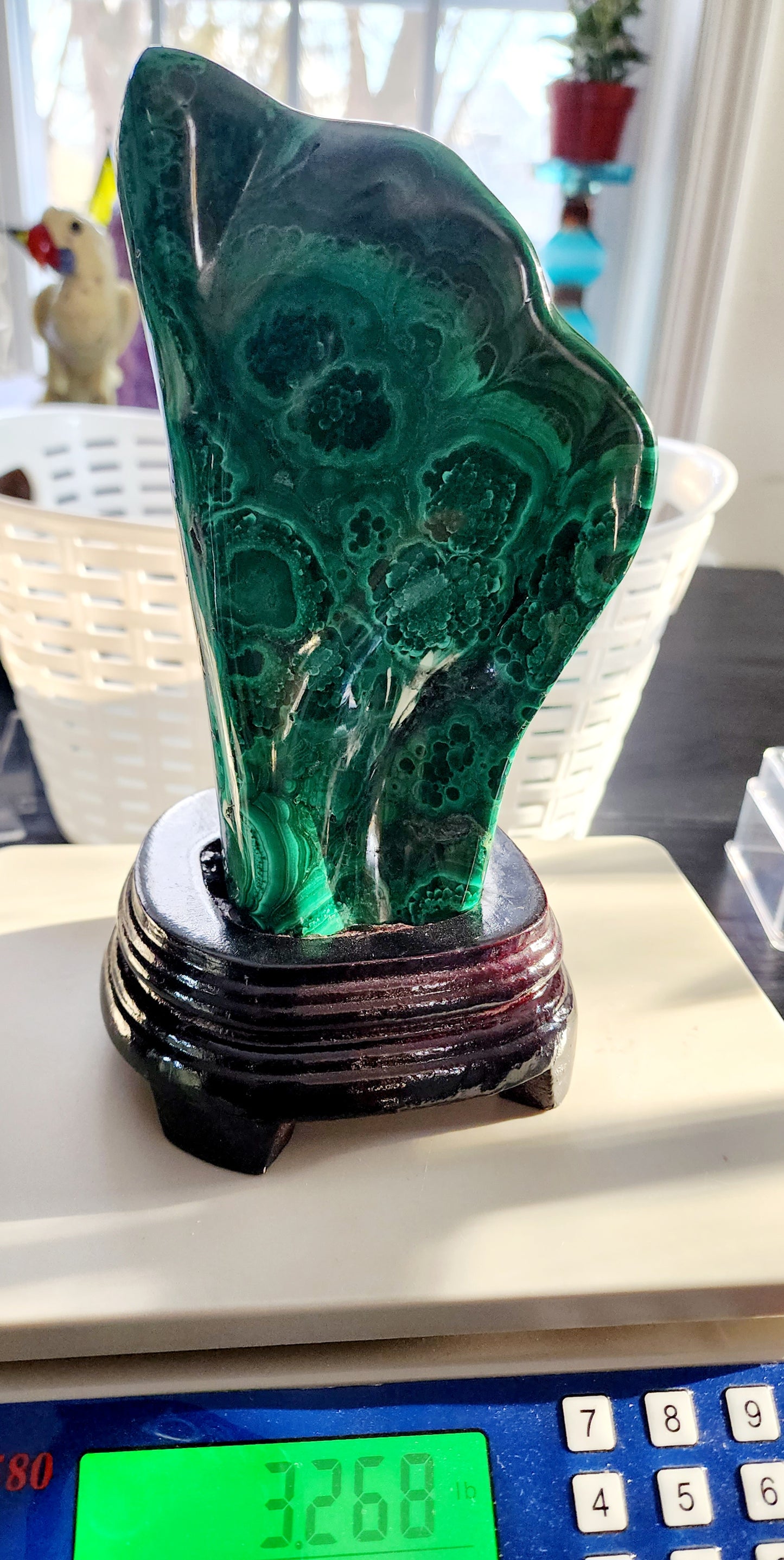 Malachite Free Form on Custom Base 8"Tall Free Shipping!
