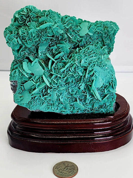 Green Petal Calcite From Morroco Free Shipping!