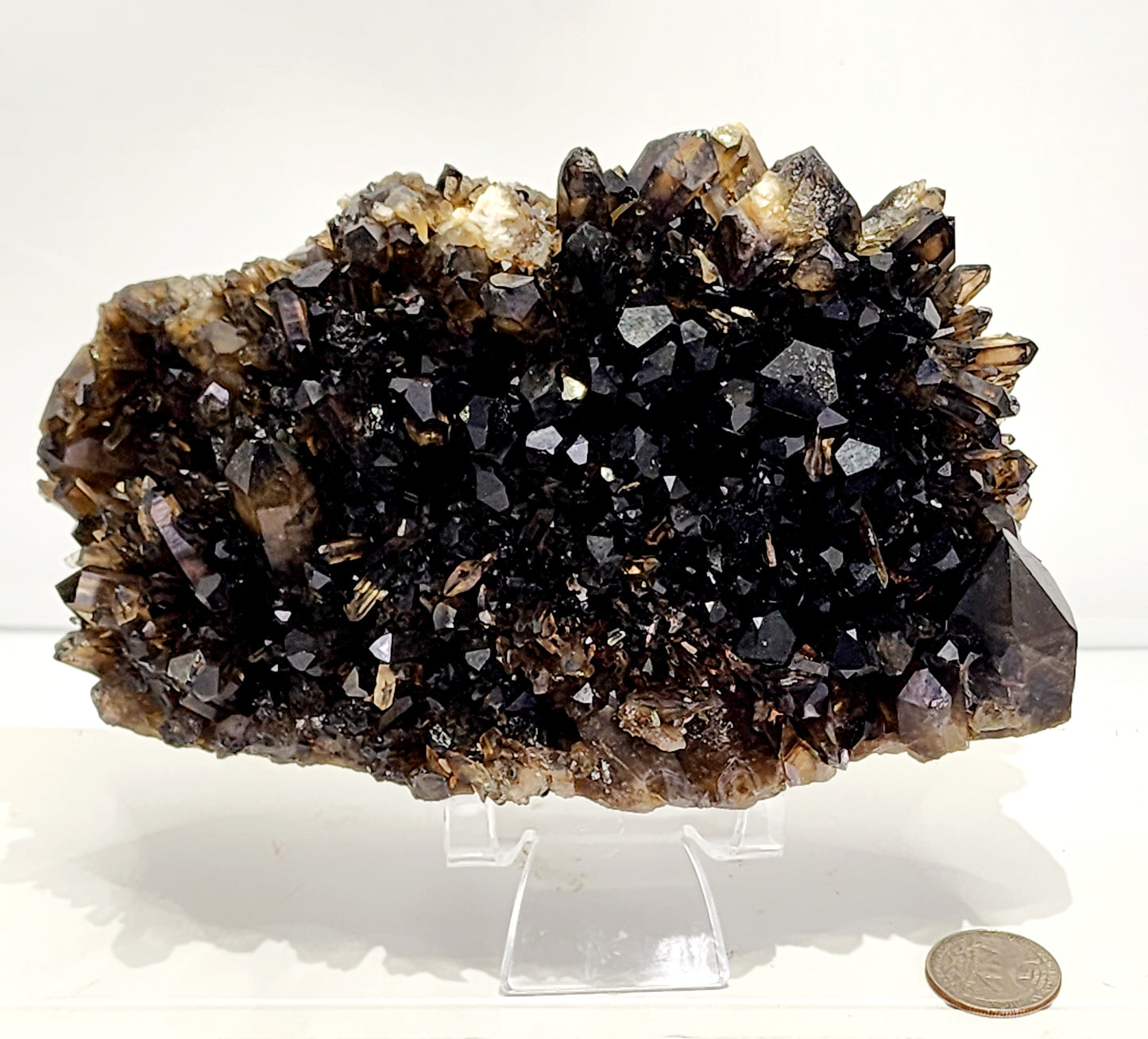 Large Dark Smokey Cluster from Brazil and Free Shipping!