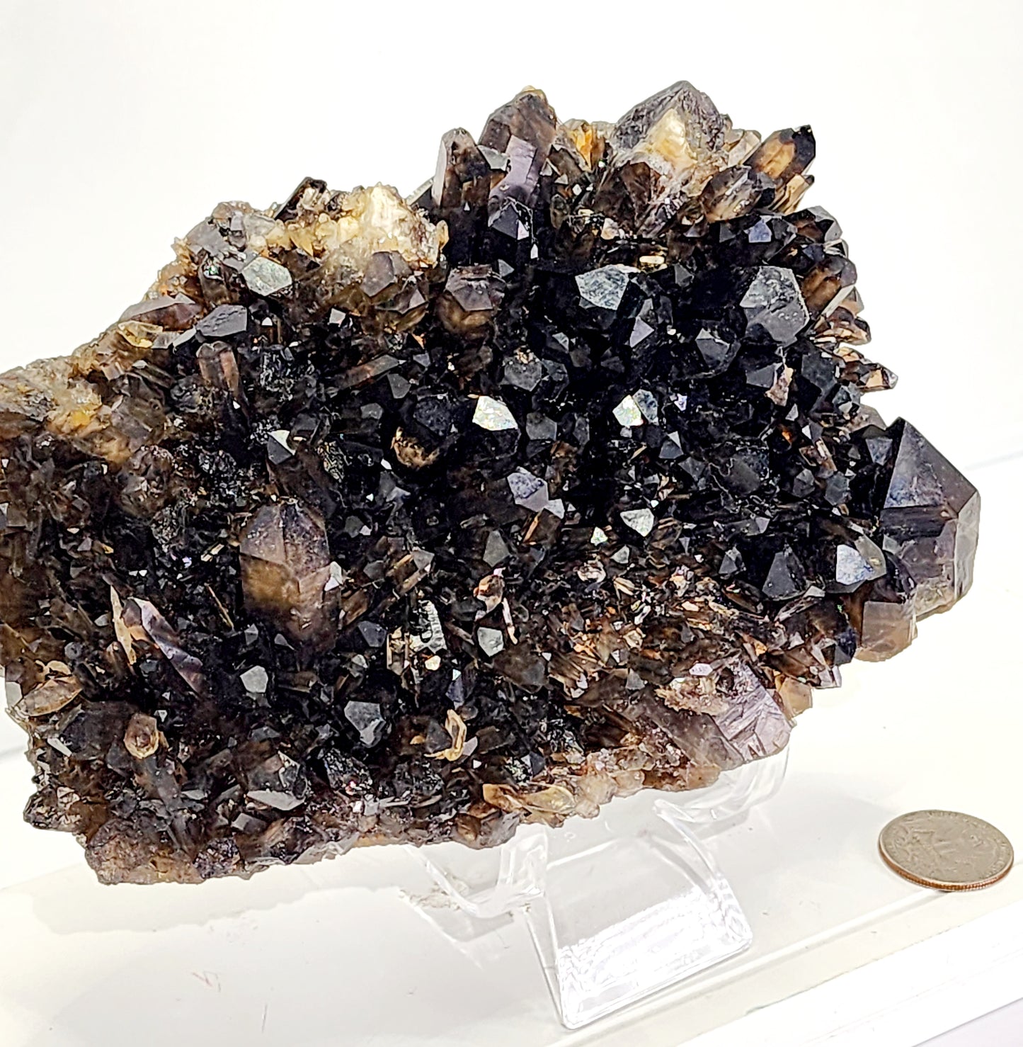 Large Dark Smokey Cluster from Brazil and Free Shipping!