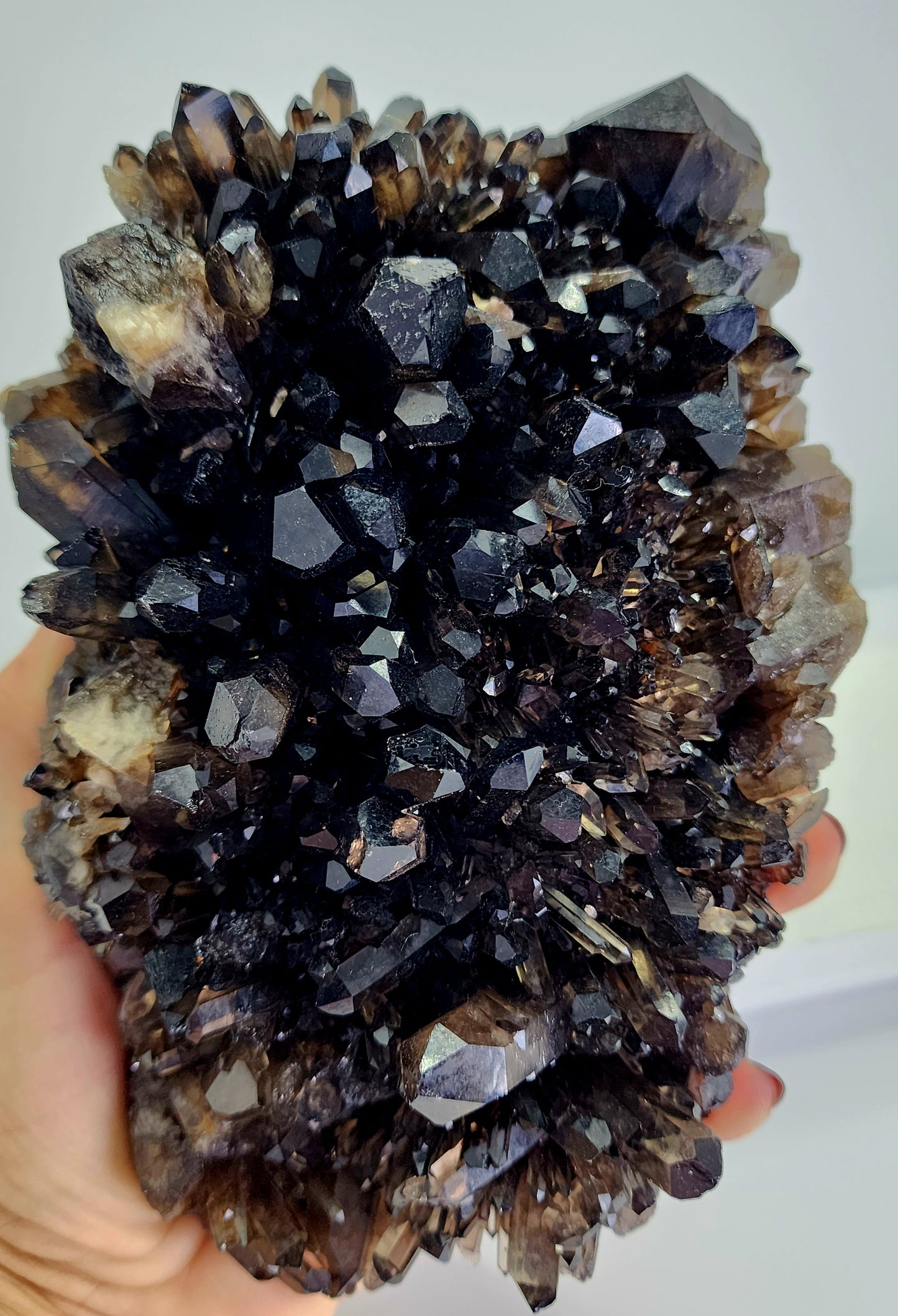 Large Dark Smokey Cluster from Brazil and Free Shipping!