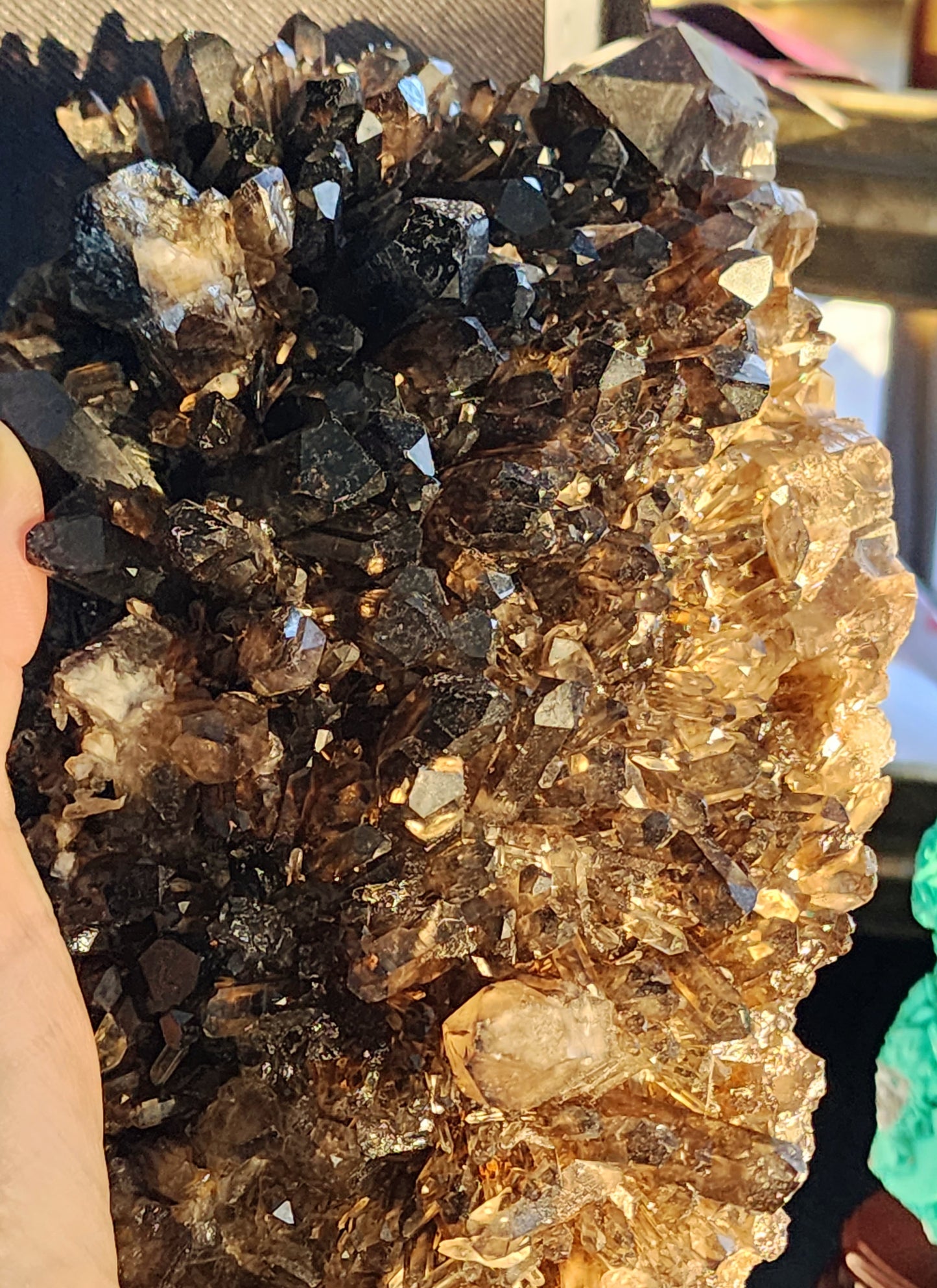 Large Dark Smokey Cluster from Brazil and Free Shipping!