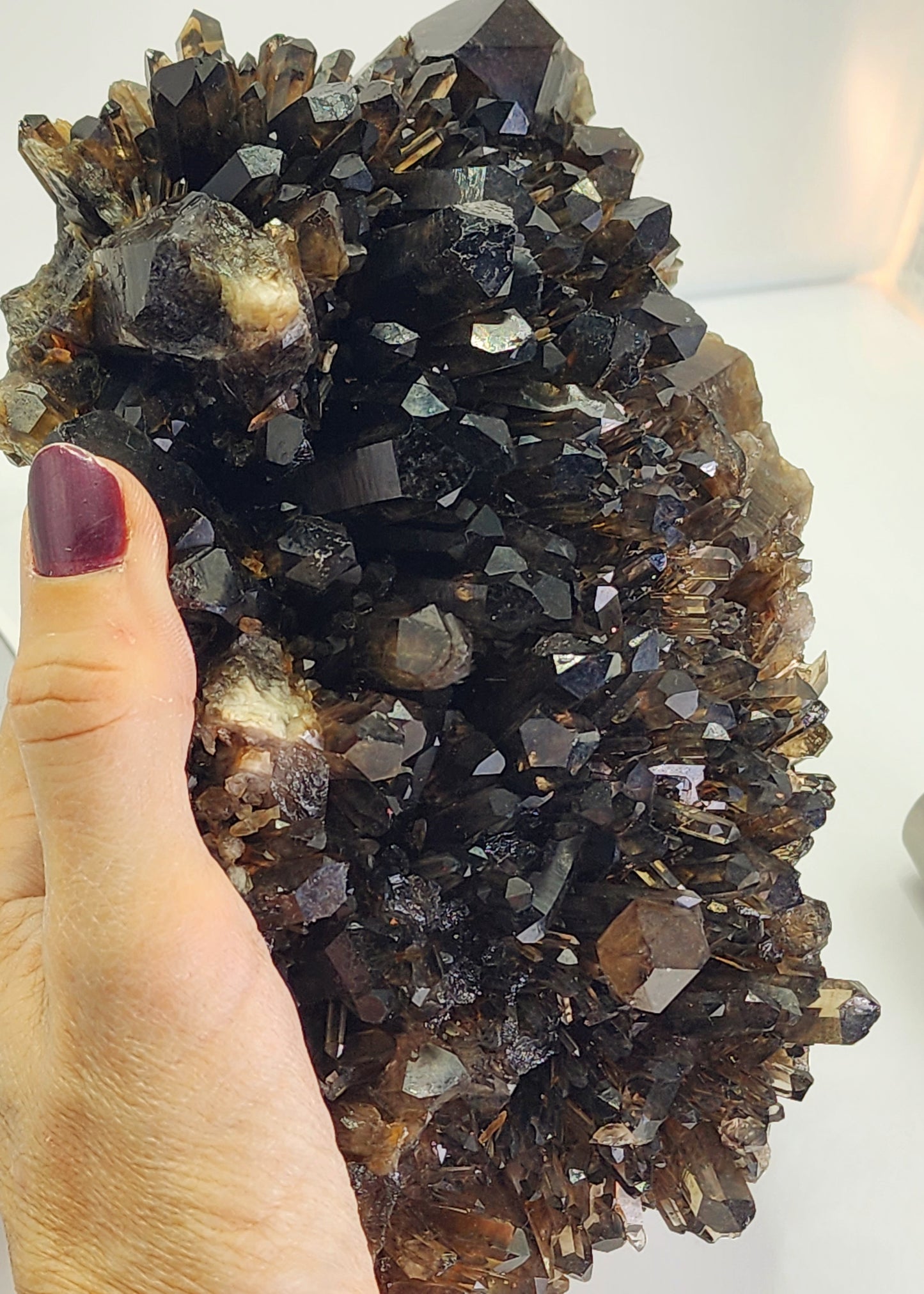 Large Dark Smokey Cluster from Brazil and Free Shipping!