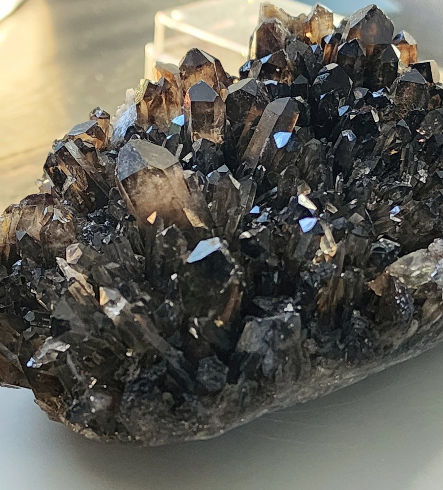 Large Dark Smokey Cluster from Brazil and Free Shipping!