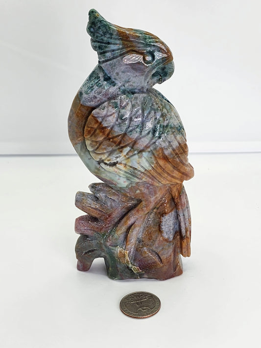 Ocean Jasper Parrot and Free Shipping!