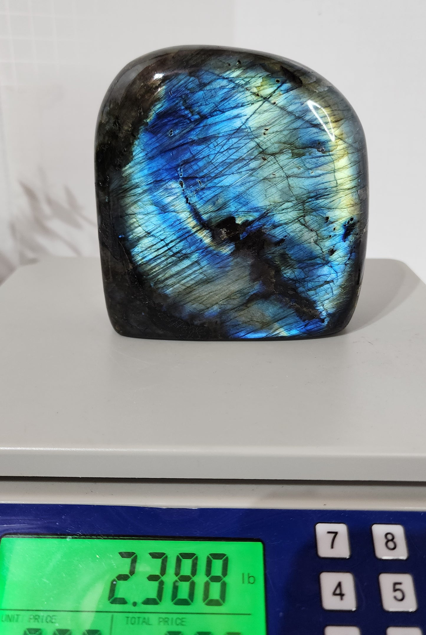 Strong Blue Flash Labradorite Free Form