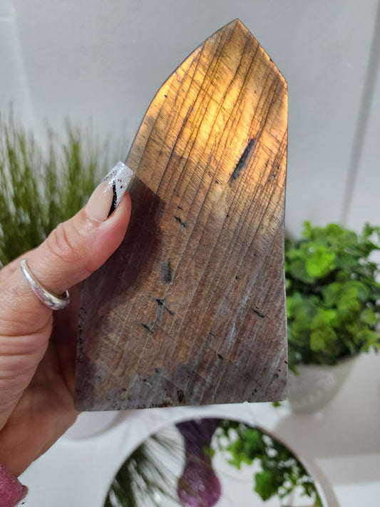 Sunset Flash Labradorite Free Form