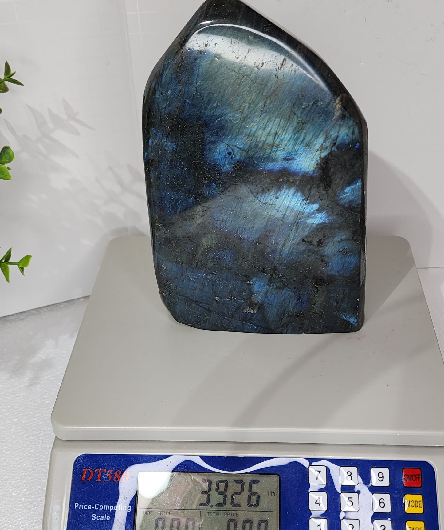 Large Blue Flash Labradorite Free Form