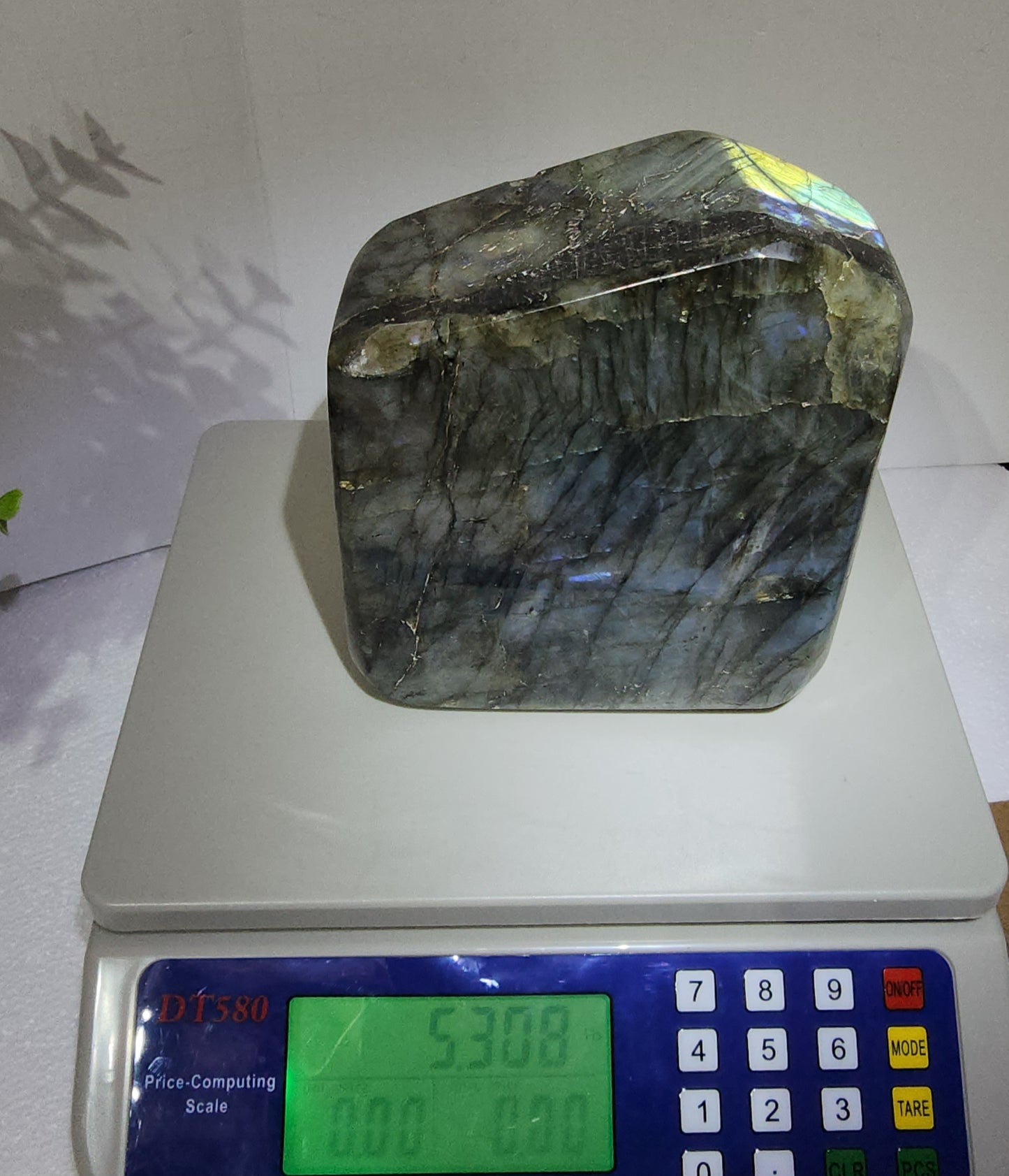 Large Labradorite Free Form