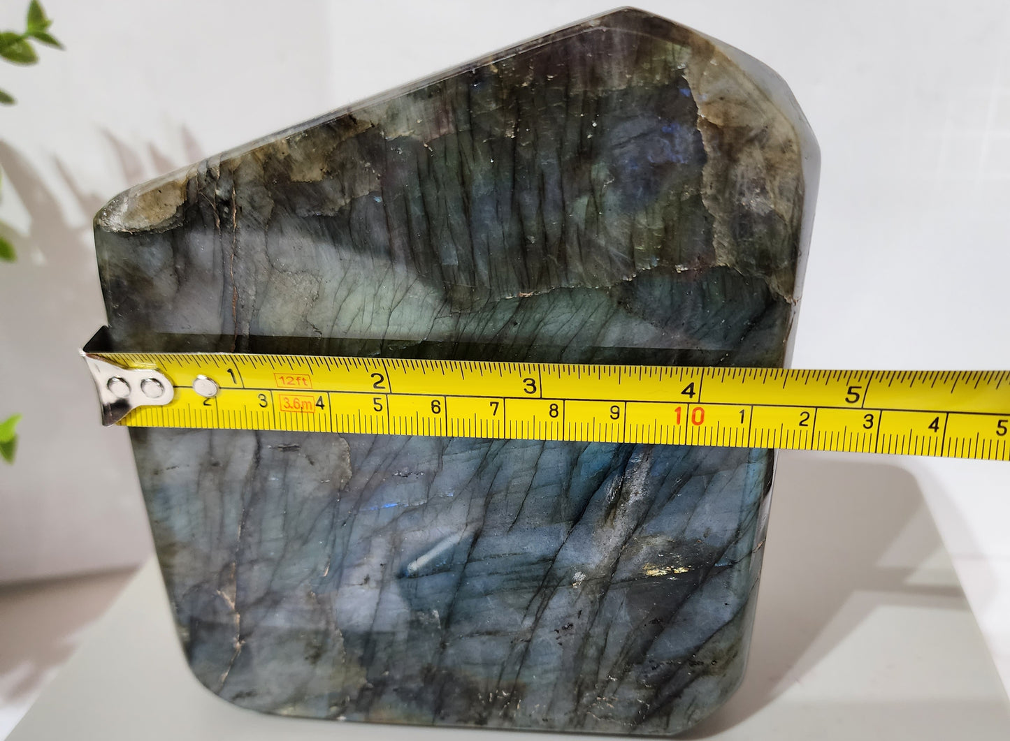 Large Labradorite Free Form