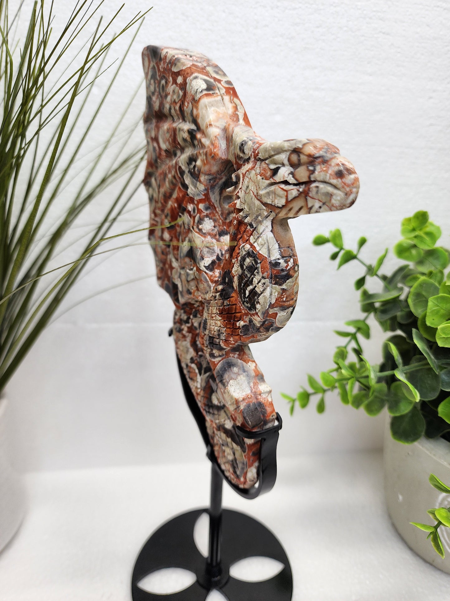 Large Money Agate Dragon Carving on Stand