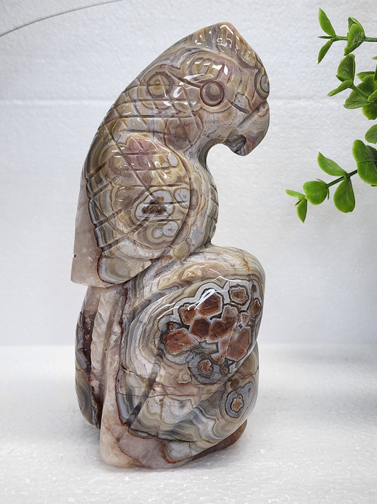 Mexican Lace/Amethyst Parrot Carving