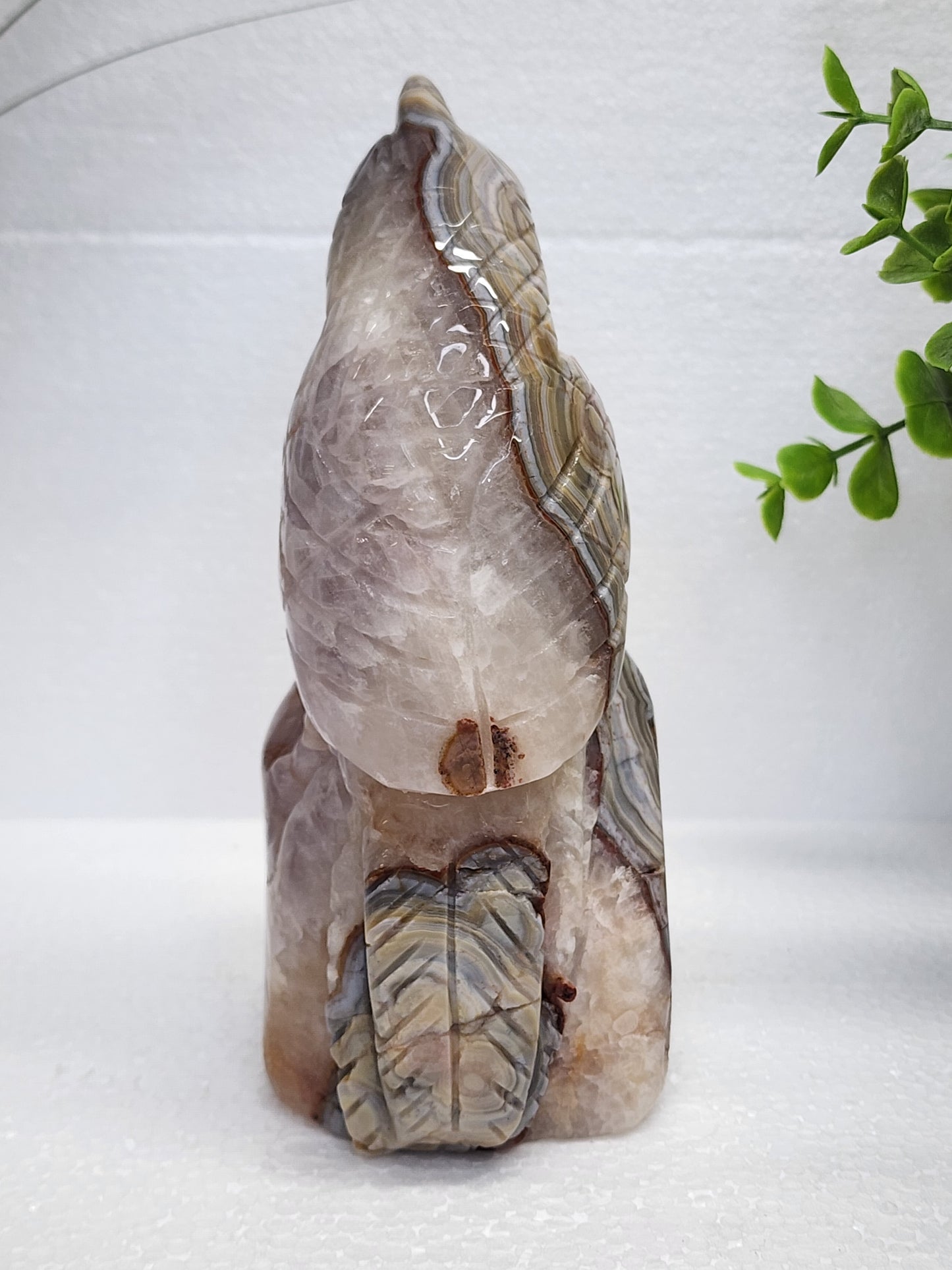Mexican Lace/Amethyst Parrot Carving