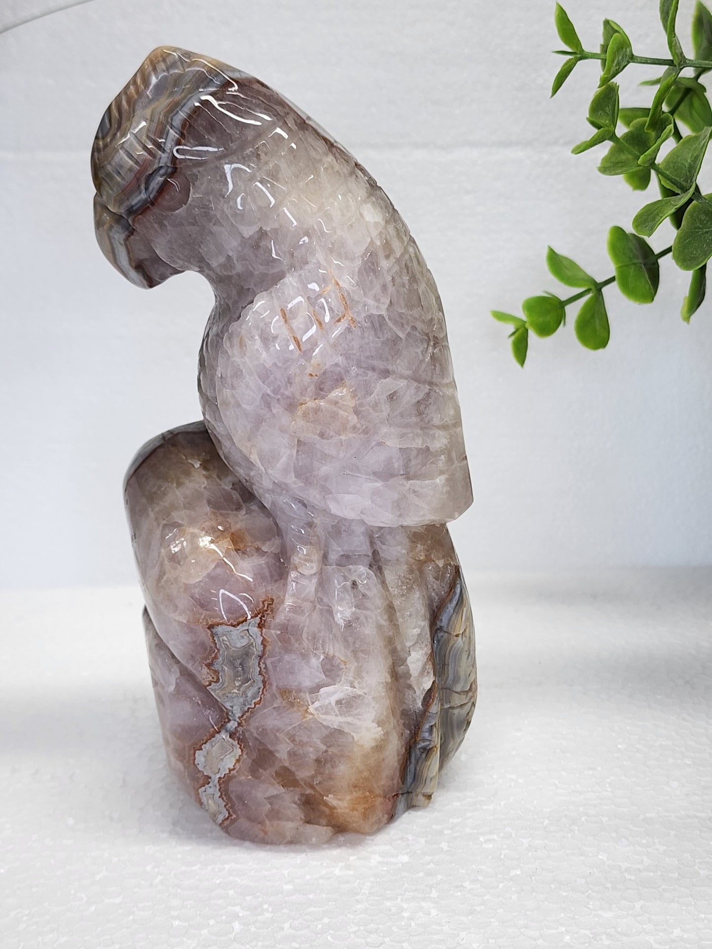Mexican Lace/Amethyst Parrot Carving