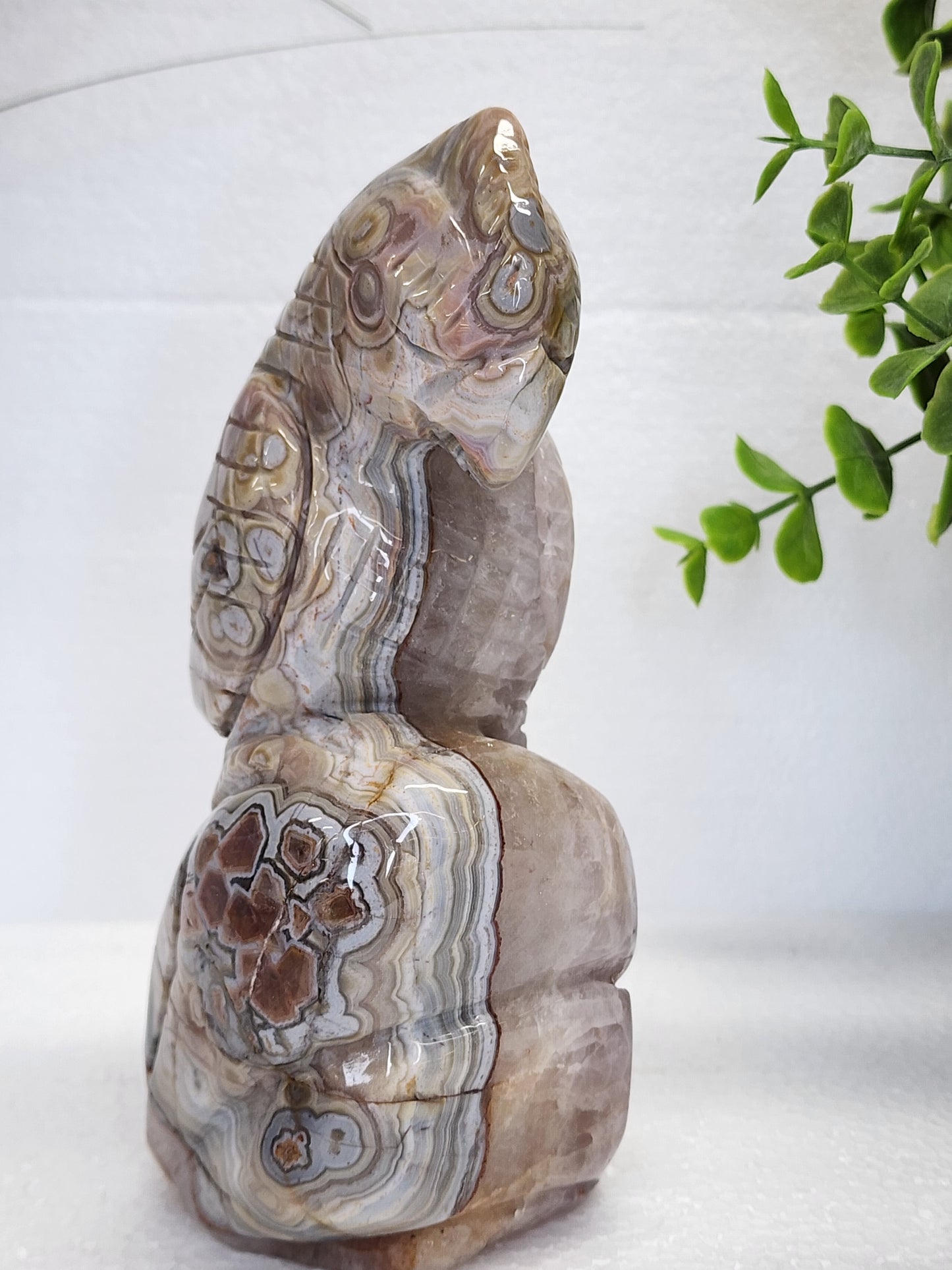 Mexican Lace/Amethyst Parrot Carving