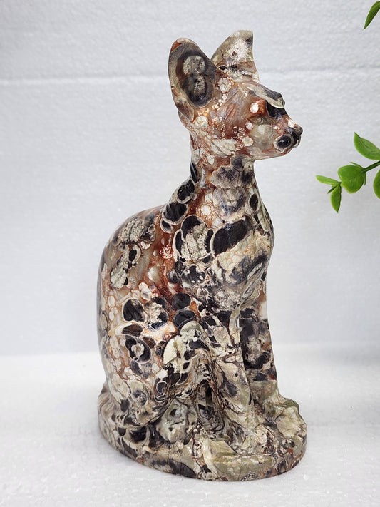 Money Agate Cat Carving