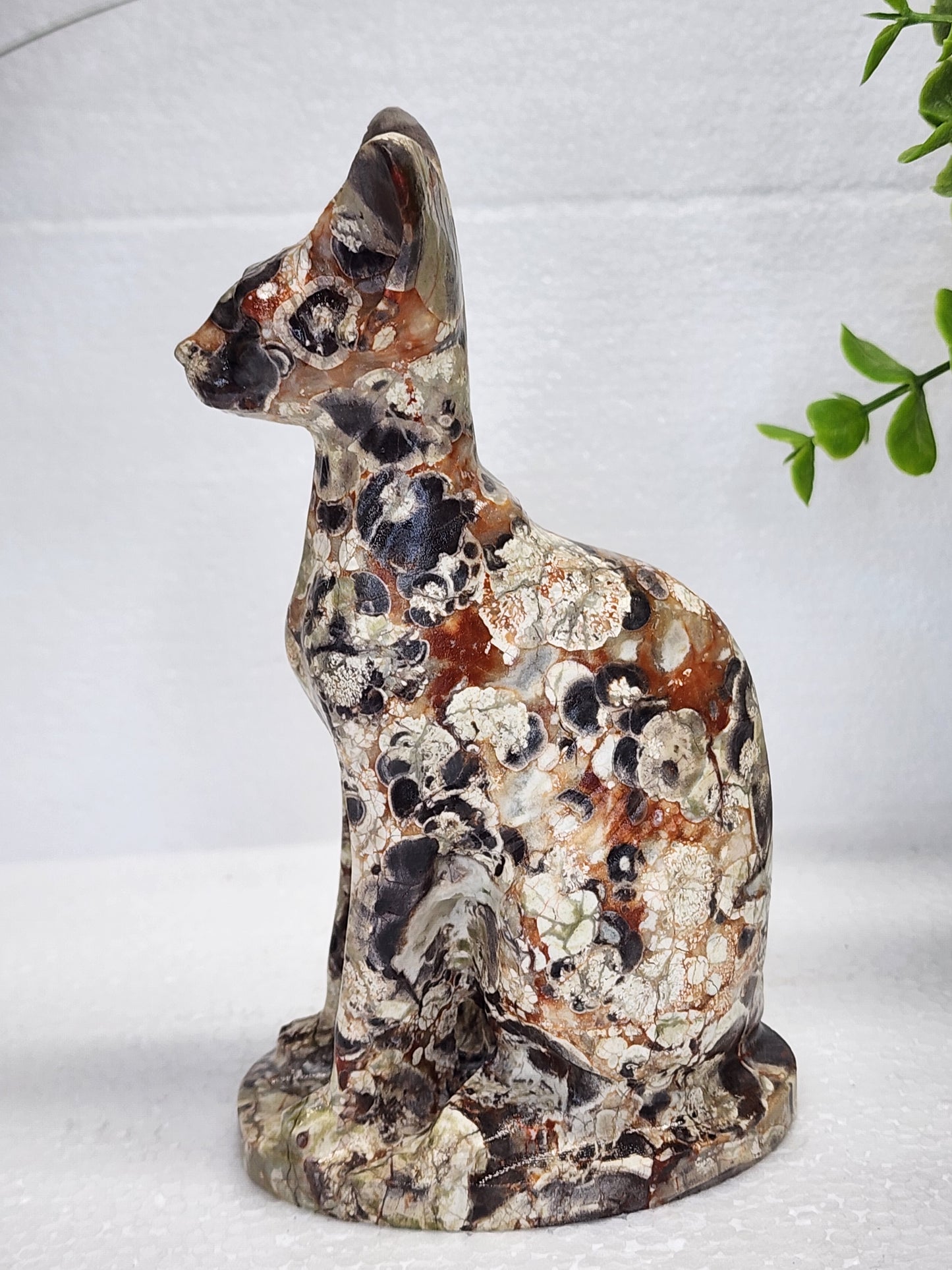Money Agate Cat Carving