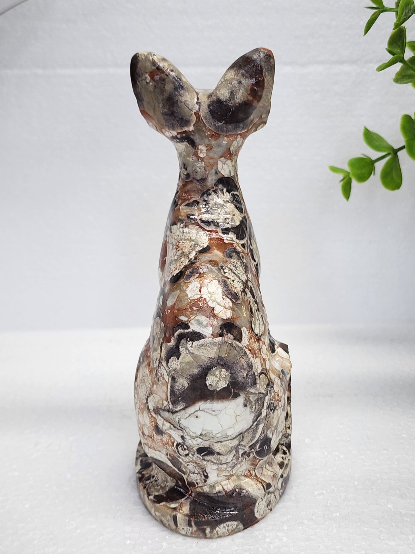 Money Agate Cat Carving