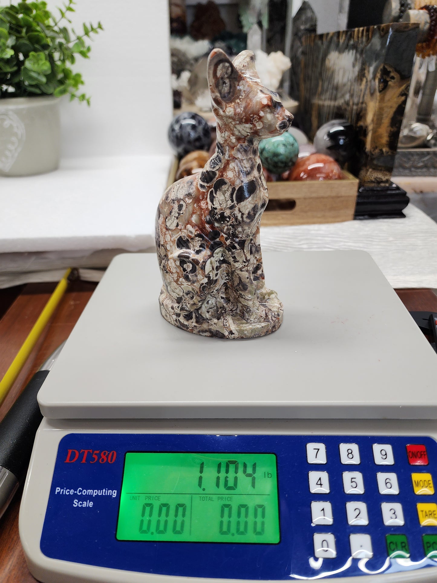 Money Agate Cat Carving