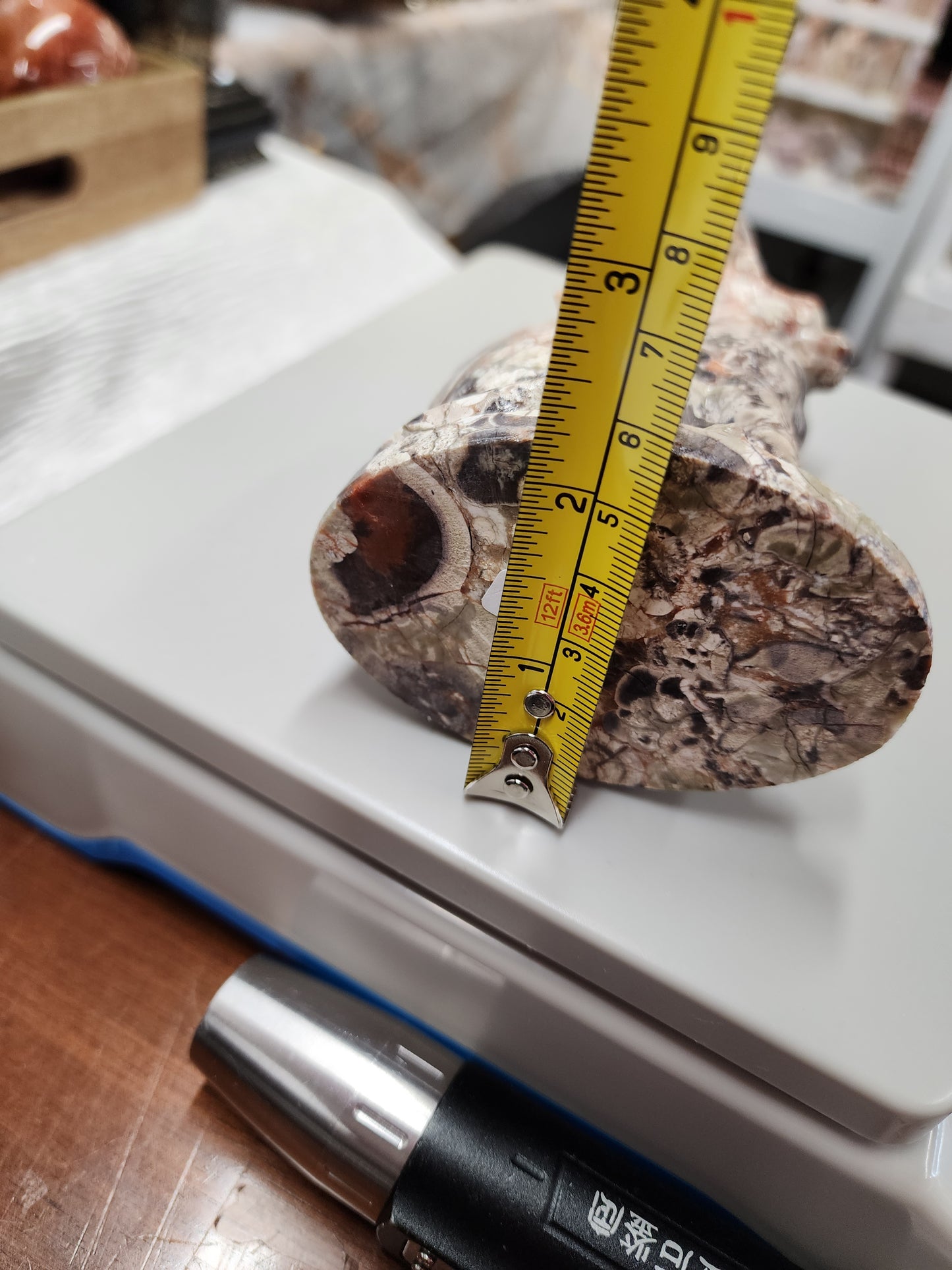 Money Agate Cat Carving