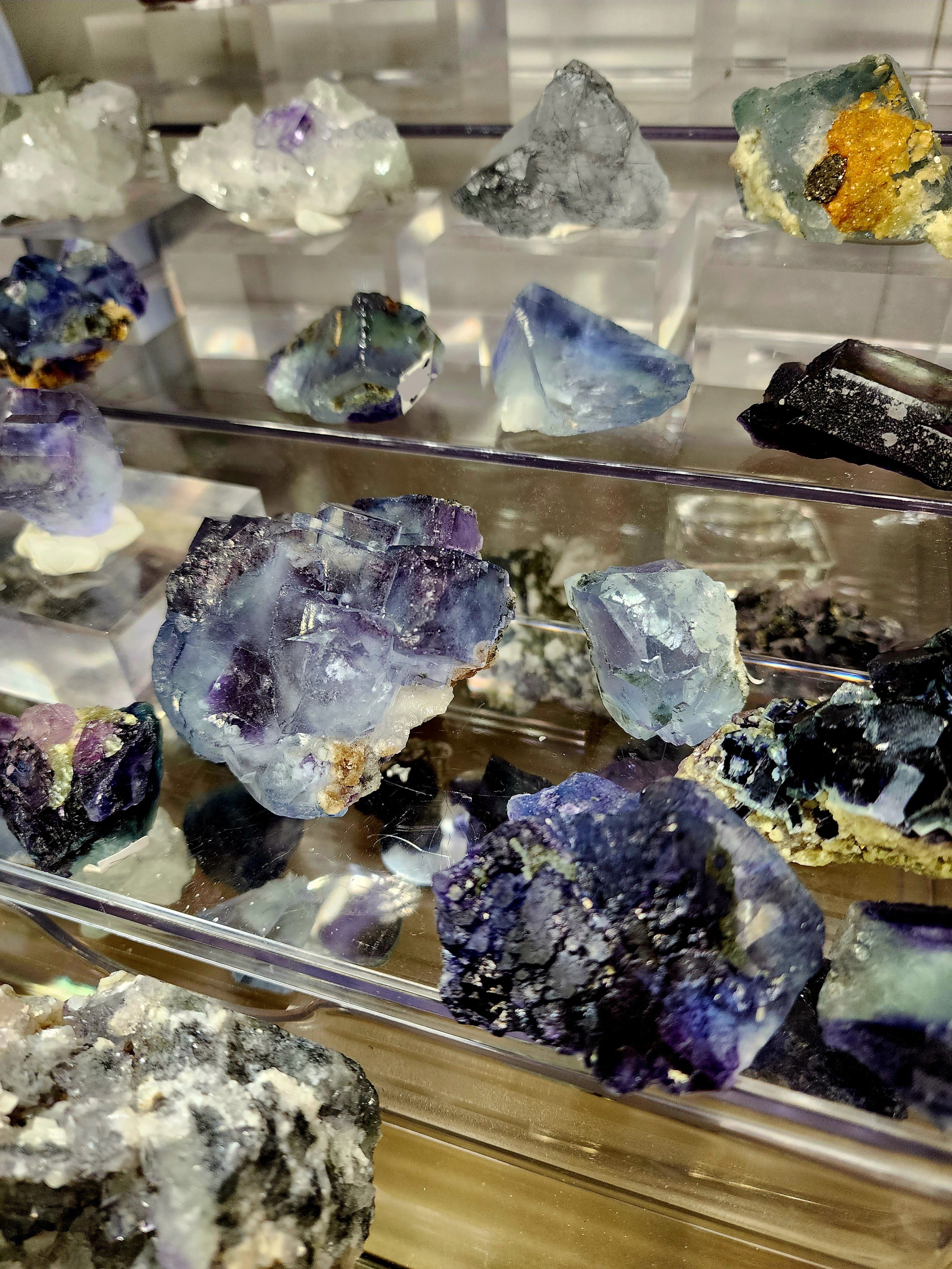 Collection of various crystal and mineral specimens on a reflective surface